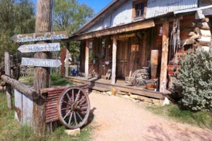 fredericksburg store Niki Gulley plein air painting workshop