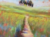 Spring's Arrival, Tuscany