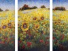 Field of Dreams