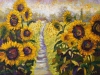 Memories of Sunshine