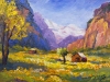 Swiss Valley