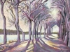 Frosted Shadows