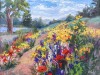 Meandering Meadow