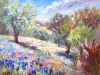 Scenic Stretch, Texas Hill Country