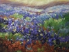 Visions of Wildflowers